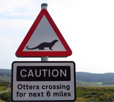 Otters crossing road sign